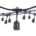 Bulbrite Outdoor/Indoor 30 ft. Plug-in Black String Light with E26 Base 12 Sockets-Bulbs Not Included 812300